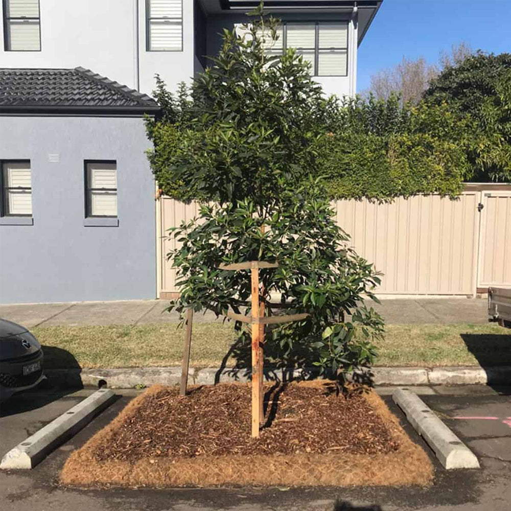 Coir Log 200mm x 3m
