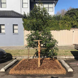 Coir Log 200mm x 3m