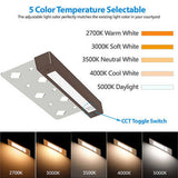Pro Light Club Aluminium Multi Temperature Step and Ledge Light